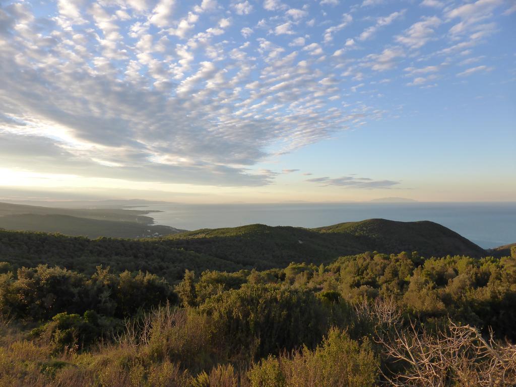 Arpaderba B&B Livorno Luaran gambar